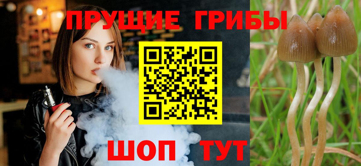 Галлюциногенные грибы мицелий Лиски