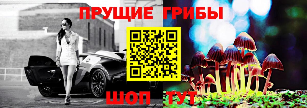 Лиски  Псилоцибиновые грибы Psilocybe  Псилоцибиновые грибы GOLDEN TEACHER  Вход с VPN 